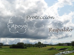 orientacion psicologica:asesoría de parejas-personas individuales orientacion psicologica:asesoría de parejas-personas individuales